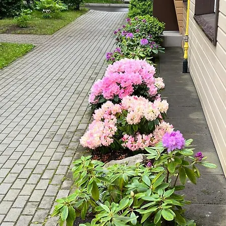 Apartamentai Palangos Centre Apartament *