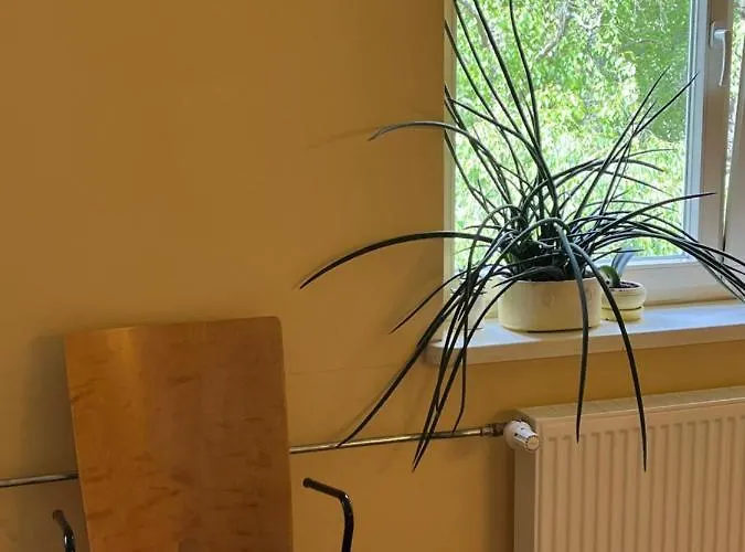 Apartamentai Palangos Centre * פלאנגה