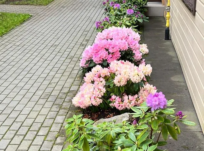 Apartamentai Palangos Centre דירה *