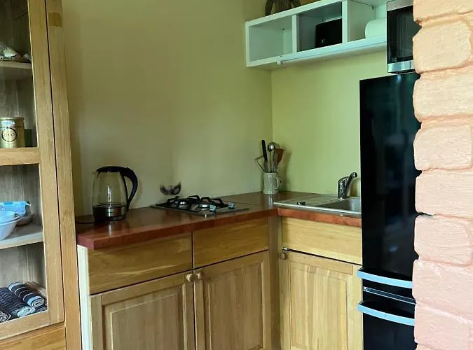 Apartamentai Palangos Centre * פלאנגה