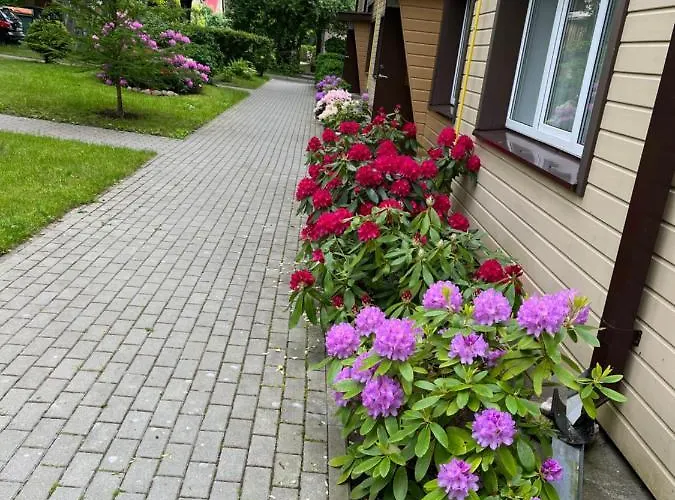 Apartamentai Palangos Centre